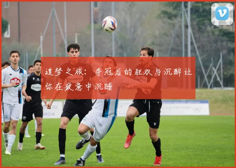 追梦之旅：夺冠后的狂欢与沉醉让你在疲惫中沉睡