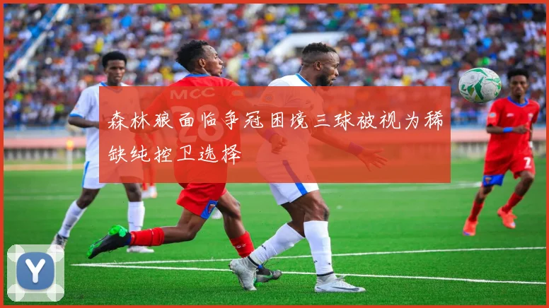 森林狼面临争冠困境三球被视为稀缺纯控卫选择